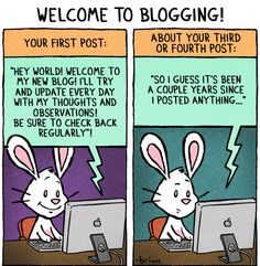 blogging schedule